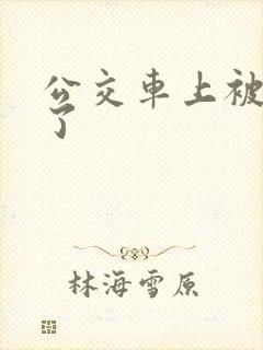 公交车上被进入了