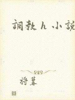 调教 h 小说