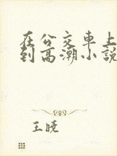 在公交车上被弄到高潮小说