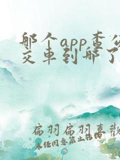 那个app查公交车到哪了