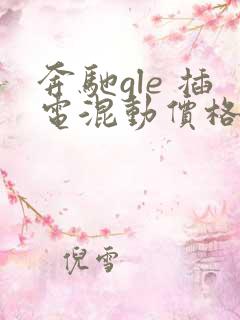 奔驰gle 插电混动价格一览表
