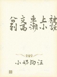 公交车上被人摸到高潮小说