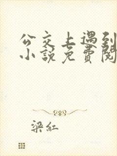 公交上遇到张姨小说免费阅读