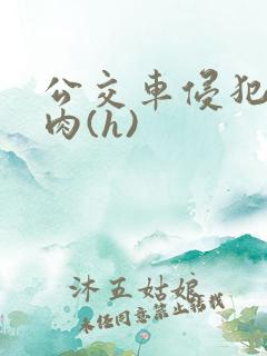 公交车侵犯直男肉(h)
