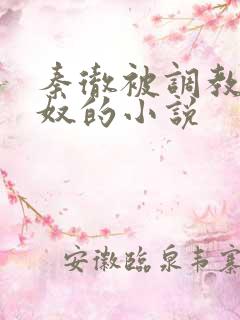 秦彻被调教成肉奴的小说