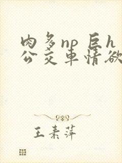肉多np 巨h公交车情欲
