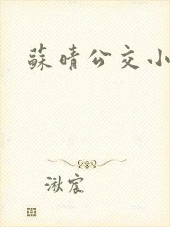 苏晴公交小说