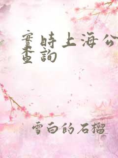 实时上海公交车查询