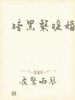 暗黑系暖婚有声