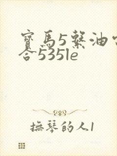 宝马5系油电混合535le