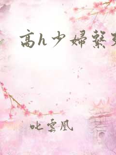 高h少妇系列