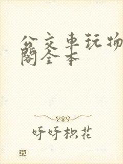 公交车玩物笔趣阁全本