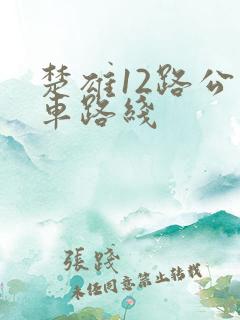 楚雄12路公交车路线