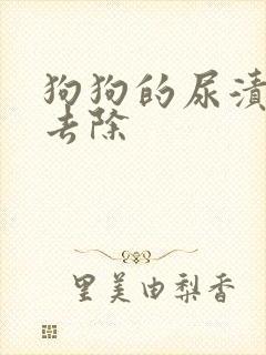 狗狗的尿渍怎么去除
