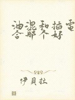 油混和插电式混合哪个好