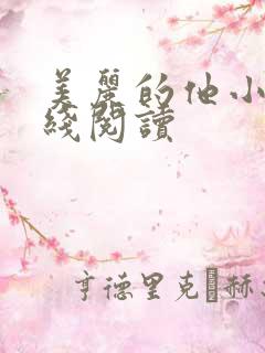 美丽的他小说在线阅读