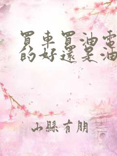 买车买油电混合的好还是油车那个好