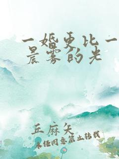 一婚更比一婚高 晨雾的光