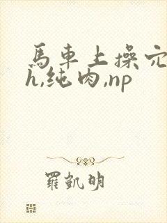 马车上操穴(高h,纯肉,np