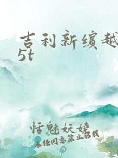 吉利新缤越1.5t