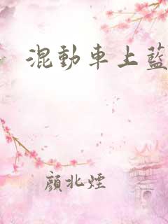 混动车上蓝牌