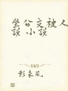坐公交被人弄小说 小说