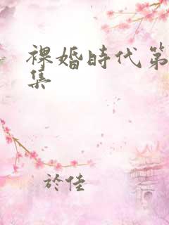 裸婚时代第24集