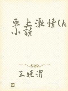 车上激情(h)小说