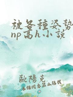 被各种姿势玩弄np高h小说
