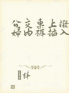 公交车上拨开少妇内裤插入