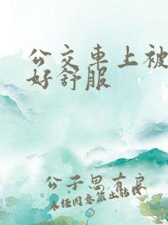 公交车上被摸的好舒服