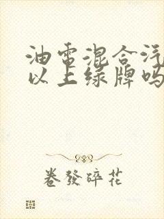 油电混合汽车可以上绿牌吗