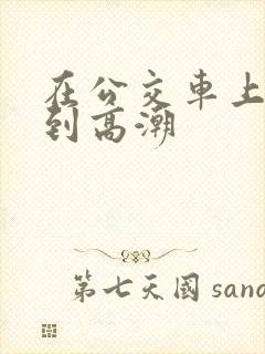 在公交车上被弄到高潮