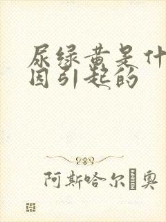 尿绿黄是什么原因引起的