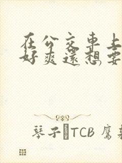 在公交车上被插好爽还想要嗯嗯啊啊