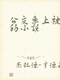 公交车上被插入的小说