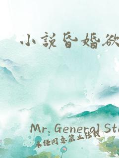 小说昏婚欲睡
