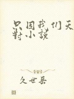 只因我们天生一对小说
