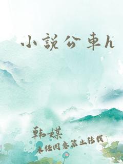小说公车h