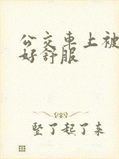 公交车上被摸的好舒服