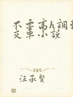 不要高h调教公交车小说
