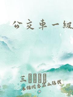公交车一级片