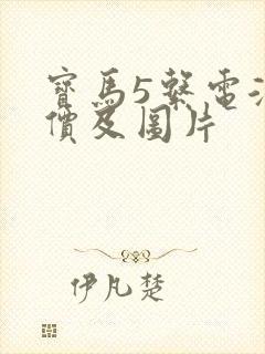 宝马5系电混报价及图片