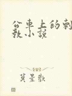 公车上的刺激调教小说