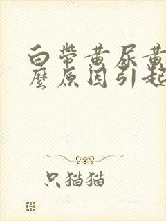 白带黄尿黄是什么原因引起的