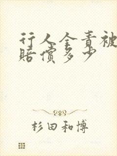 行人全责被撞死赔偿多少