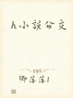 h小说公交