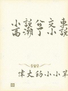 小说公交车被上高潮了小说