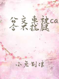 公交车被cao合不拢腿