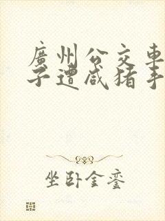 广州公交车上女子遭咸猪手